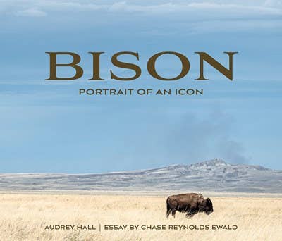 Bison: Portrait of an Icon-Blue Hand Home