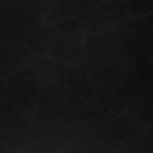 Newton Dining Chair, Ebony Black Leather - Noir Trading Inc.-Noir Furniture-Blue Hand Home