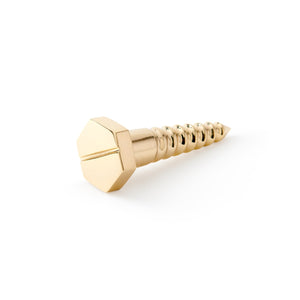 Screw Statue in Polished Solid Brass by Villa & House