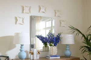 Willow Mirror, Clear