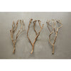 Tea Tree Branch-Blue Hand Home