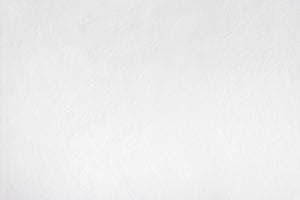 Cisco Fabric Luna White - Grade H - Cotton-Cisco Brothers-Blue Hand Home