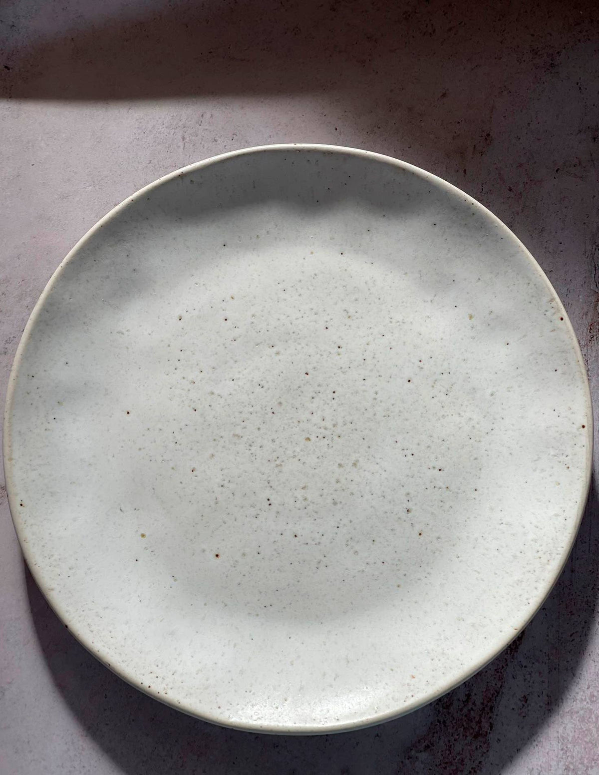 Constellation Dinner Plate-Egg Back Home-Blue Hand Home